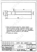 Болт специальный 0