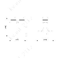 SL4.21 зажим плашечный 1